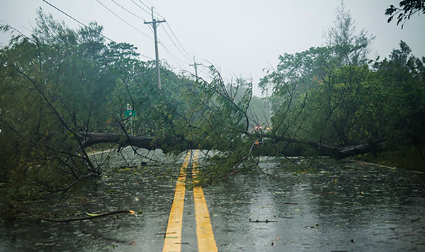 Storm damage after a hurricane. Hurricane window film